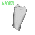 SK 852 Paranthropus robustus LLI1 ply