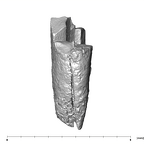 SK 852 Paranthropus robustus LRDC 4