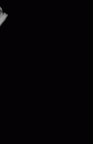 SK 852 Paranthropus robustus LRDC gif