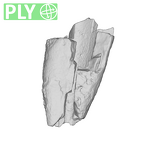 SK 852 Paranthropus robustus LRDC ply