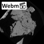 SK 852 Paranthropus robustus mandible fragment ct stack movie