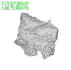 SK 852 Paranthropus robustus mandible fragment ply