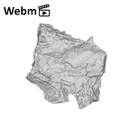 SK 852 Paranthropus robustus mandible fragment ply movie