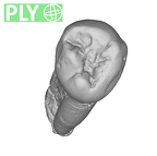 SK 857 Paranthropus robustus LRP3 ply