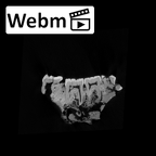 SK 858.861.883 Paranthropus robustus mandible ct stack movie