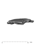 SK 859 Paranthropus robustus cranial fragment 1 6