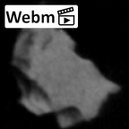 SK 859 Paranthropus robustus cranial fragment 1 ct stack movie