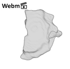 SK 859 Paranthropus robustus cranial fragment 1 ply movie