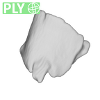 SK 859 Paranthropus robustus cranial fragment 2 ply