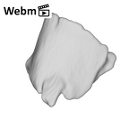 SK 859 Paranthropus robustus cranial fragment 2 ply movie