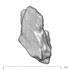 SK 859 Paranthropus robustus cranial fragment 3 1