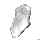 SK 859 Paranthropus robustus cranial fragment 3 6