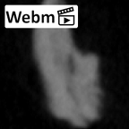 SK 859 Paranthropus robustus cranial fragment 3 ct stack movie