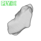 SK 859 Paranthropus robustus cranial fragment 3 ply
