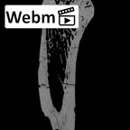SK 85 Homo erectus left fourth metacarpal ct stack movie