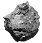 SK 864 Paranthropus robustus molar fragment