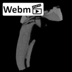 SK 870 Paranthropus robustus ULM3 ct stack movie