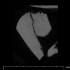 SK 870 Paranthropus robustus ULM3 root fragment 1 internal