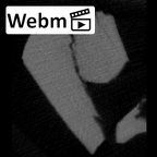 SK 870 Paranthropus robustus ULM3 root fragment 1 ct stack movie