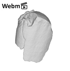SK 870 Paranthropus robustus ULM3 root fragment 1 ply movie