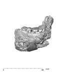 SK 876 Paranthropus robustus mandible lateral left