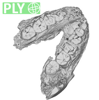 SK 876 Paranthropus robustus mandible ply