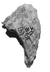 SK 878b Paranthropus robustus cranial fragment