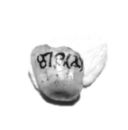SK 878d Paranthropus robustus tooth fragment