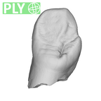 SK 87 Paranthropus robustus LRC ply