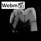 SK 880 Paranthropus robustus LLM3 ct stack movie