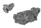 SK 881 Paranthropus robustus bone fragments
