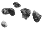 SK 884 Paranthropus robustus LLC mastoid fragments 1