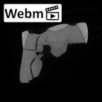 SK 885 Paranthropus robustus LLM3 ct stack movie