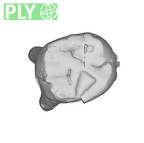 SK 90 Paranthropus robustus ULDM2 ply