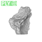 SK 96 Paranthropus robustus mandible fragment ply