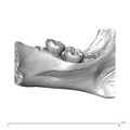 Scladina 4A-1 Homo neanderthalensis right mandible lingual high resolution