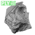 Scladina 4A-2 Homo neanderthalensis URP4 ply