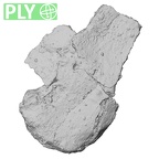 DV-STERN Homo sapiens sternum ply