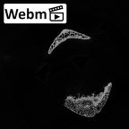 DV13-41 Homo sapiens thoracic vertebra sixth ct stack movie
