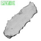 DV13-54 Homo sapiens sternum ply