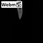 DV13-56 Homo sapiens rib first right ct stack movie