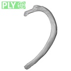 DV13-59 Homo sapiens rib second left ply