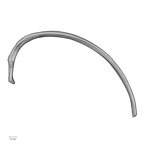 DV13-62 Homo sapiens rib fourth right inferior