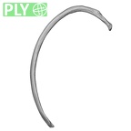 DV13-62 Homo sapiens rib fourth right ply