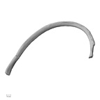 DV13-63 Homo sapiens rib fourth left inferior