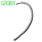 DV13-63 Homo sapiens rib fourth left ply