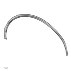 DV13-64 Homo sapiens rib fifth right inferior