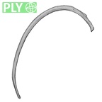 DV13-64 Homo sapiens rib fifth right ply