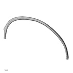 DV13-65 H. sapiens rib fifth left