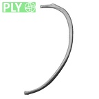 DV13-65 Homo sapiens rib fifth left ply